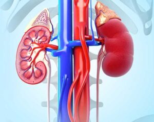 Living with Kidney Cancer