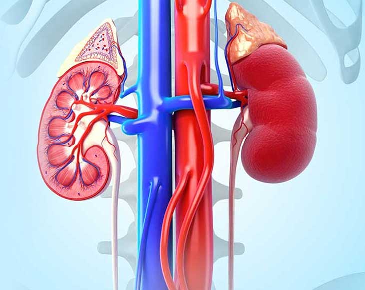 Living with Kidney Cancer