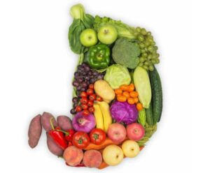 Diet in Kidney Stones