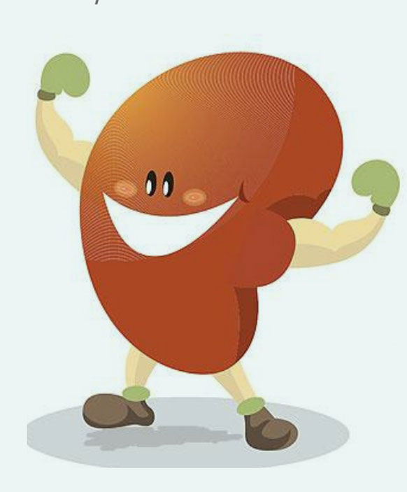Keeping Your Kidneys Healthy