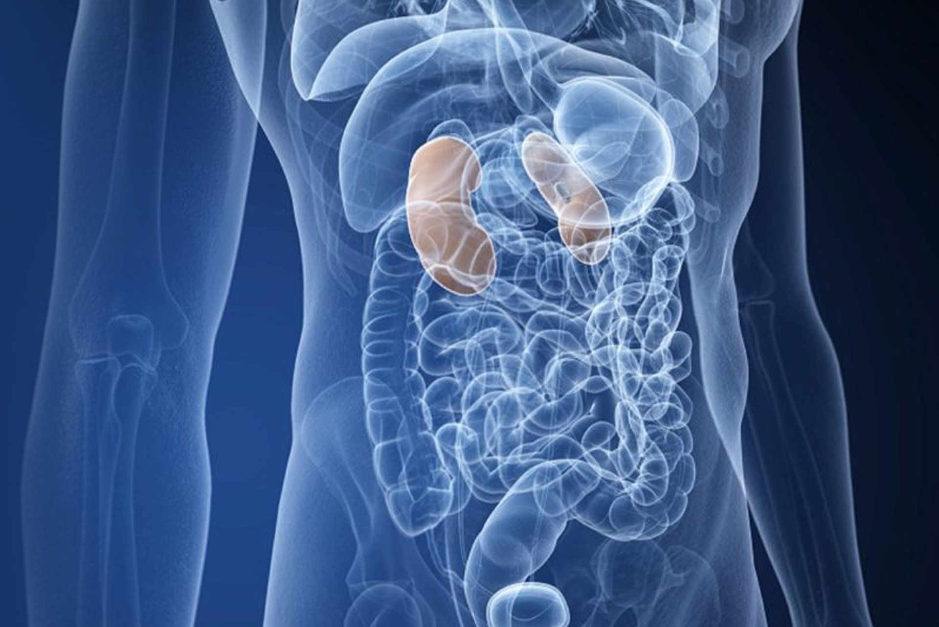 Diabetes & Urological Diseases